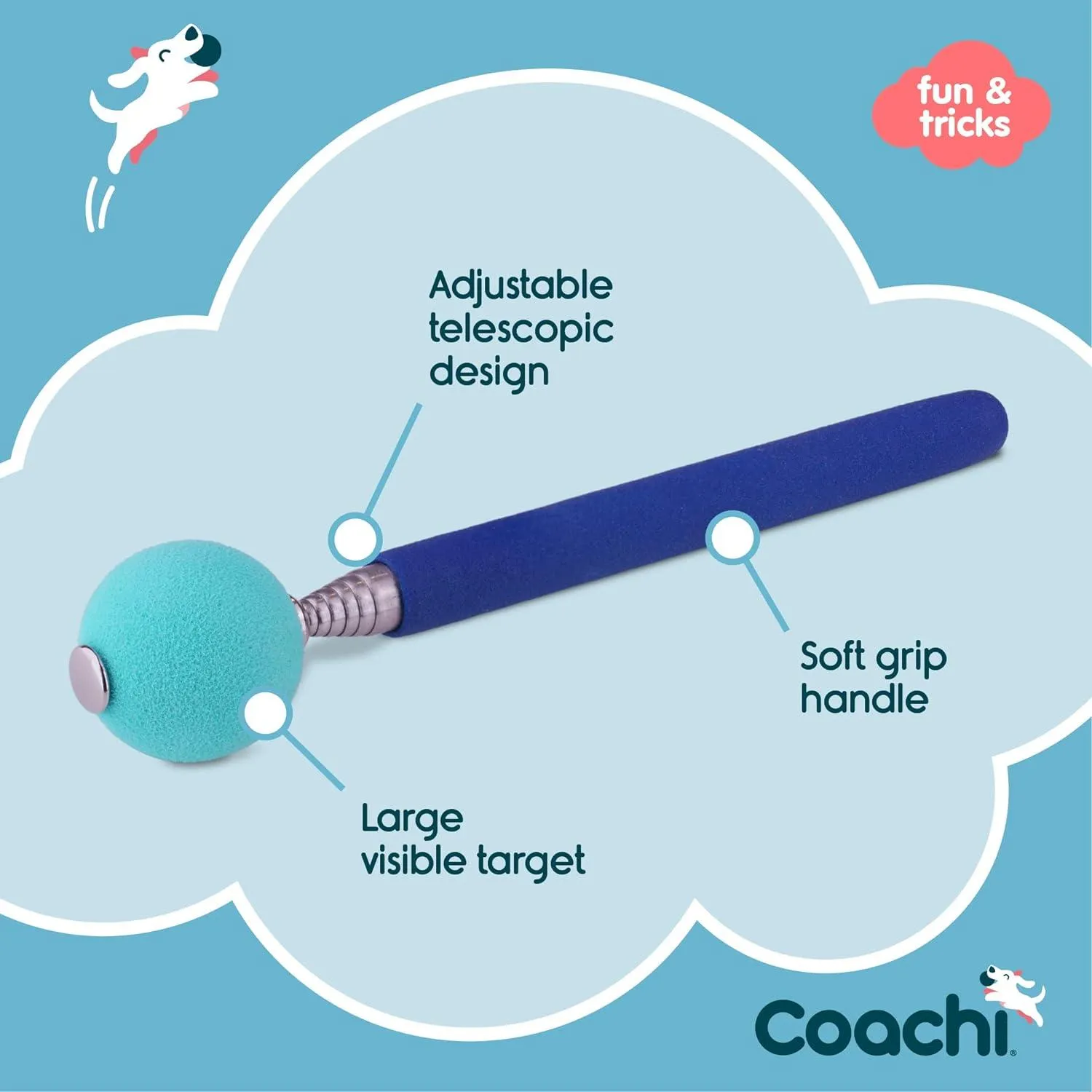 Coachi Target Stick
