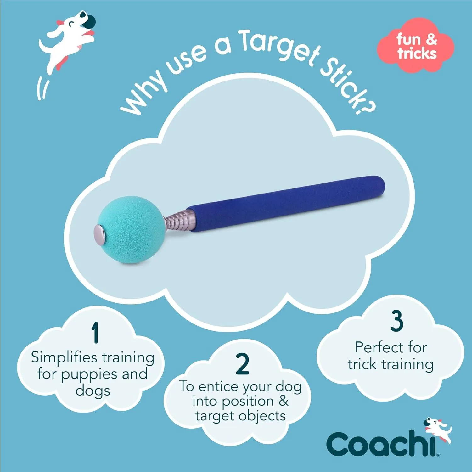 Coachi Target Stick