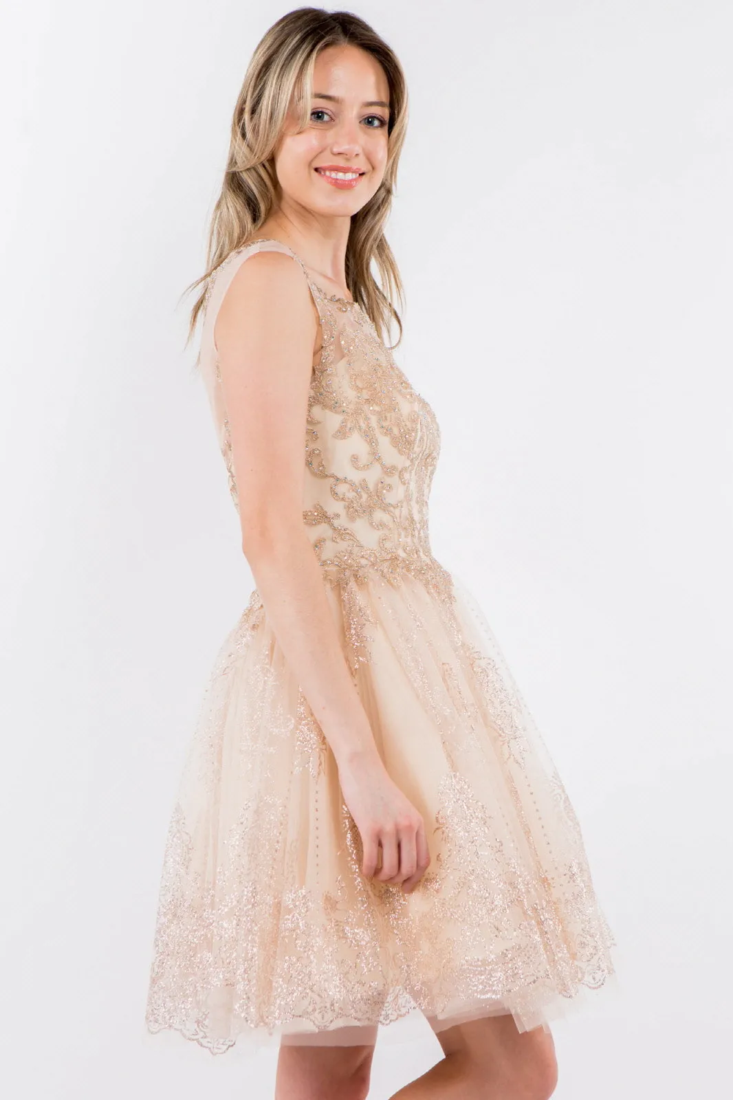 Embroidery Embellished Bodice Glitter Pattern Mesh Skirt Short Dress GLGS1964