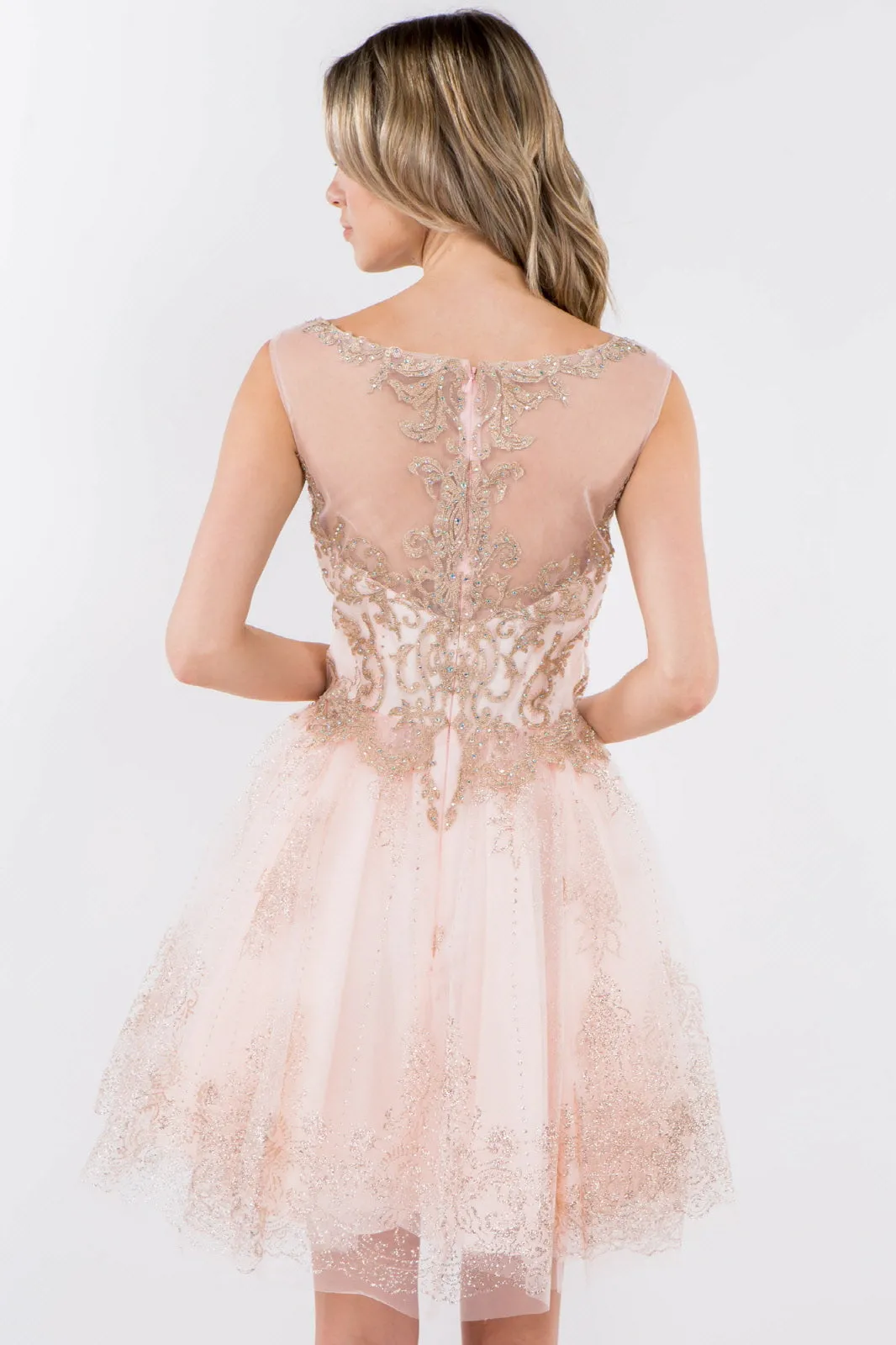 Embroidery Embellished Bodice Glitter Pattern Mesh Skirt Short Dress GLGS1964