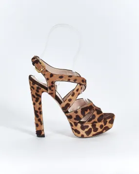 Miu Miu leopard platform heels, brown, 37