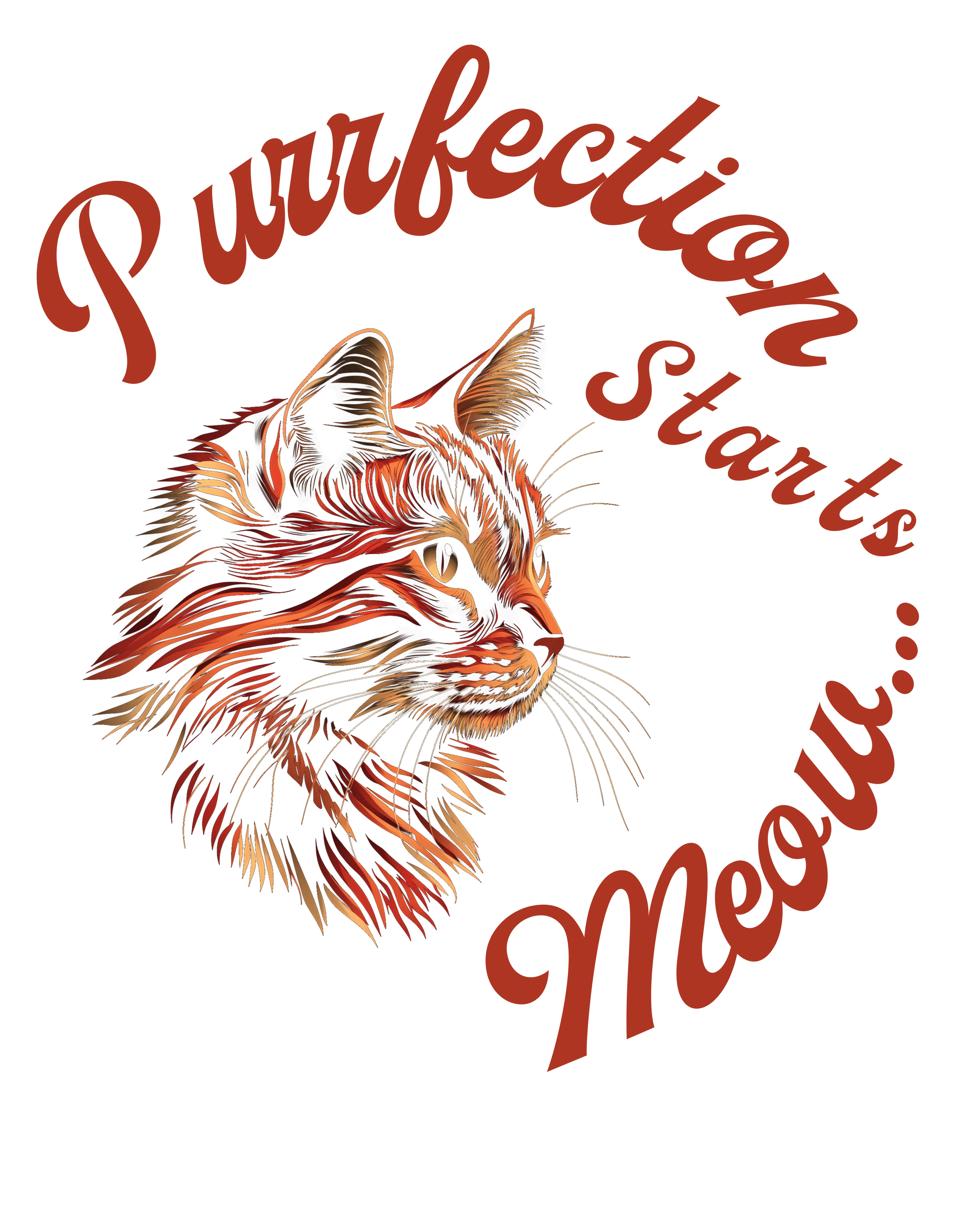Purrfection Starts Meow | Oversized Cat Graphic Cotton T-Shirt
