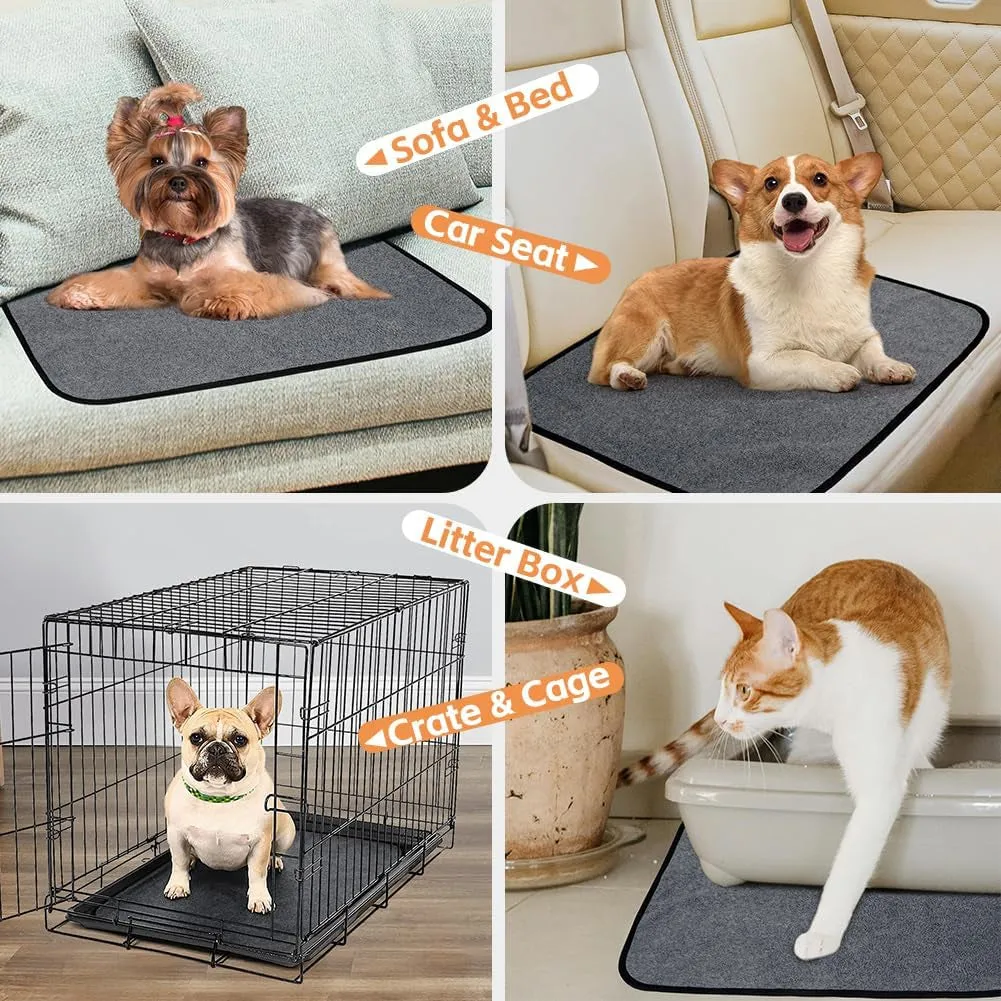 Washable Pee Pads for Dogs (2-Pack) - Meet Pawsitive Pads! 🐾💧